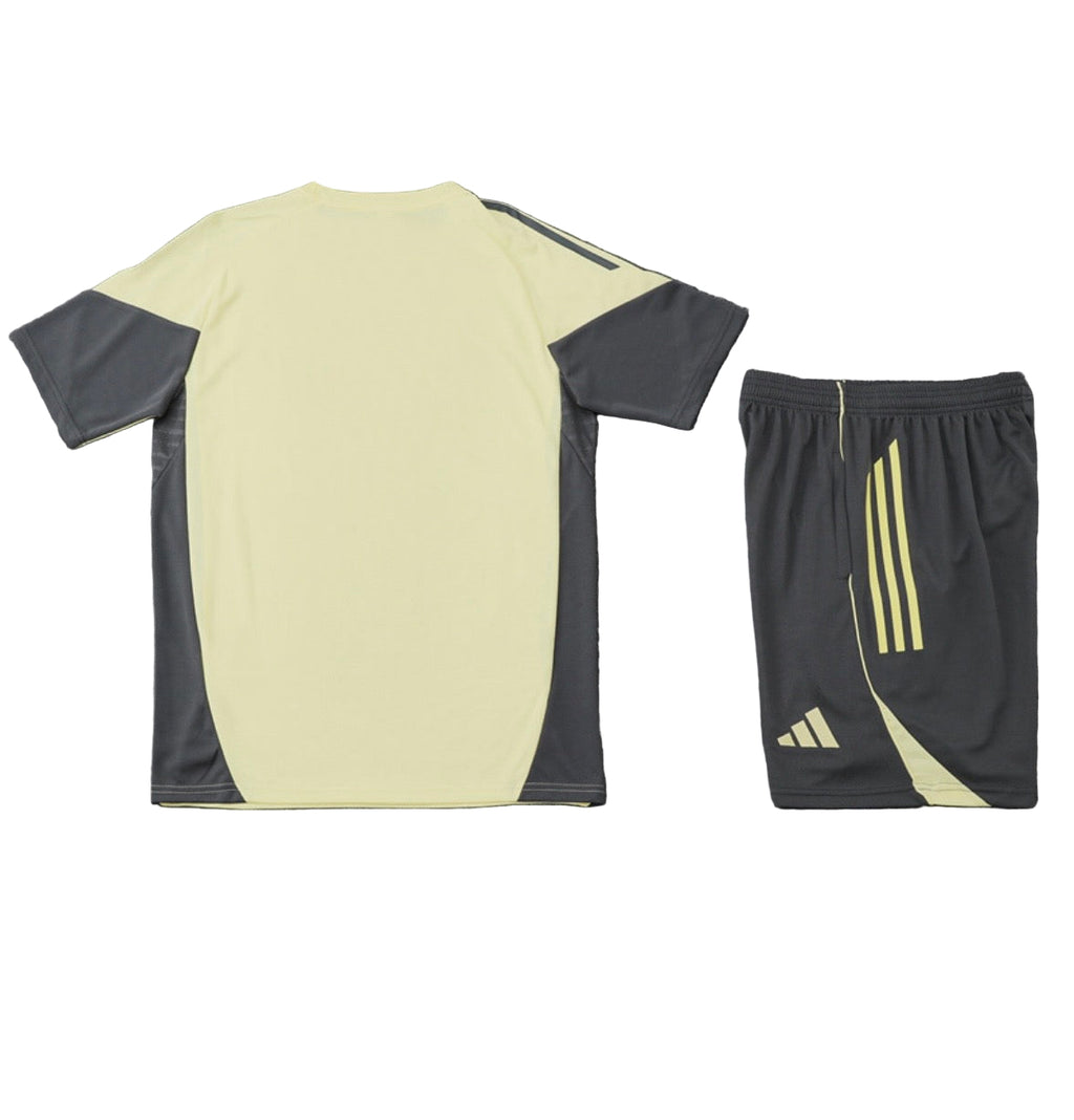 Real Madrid Training Set – Champion’s Gold Edition