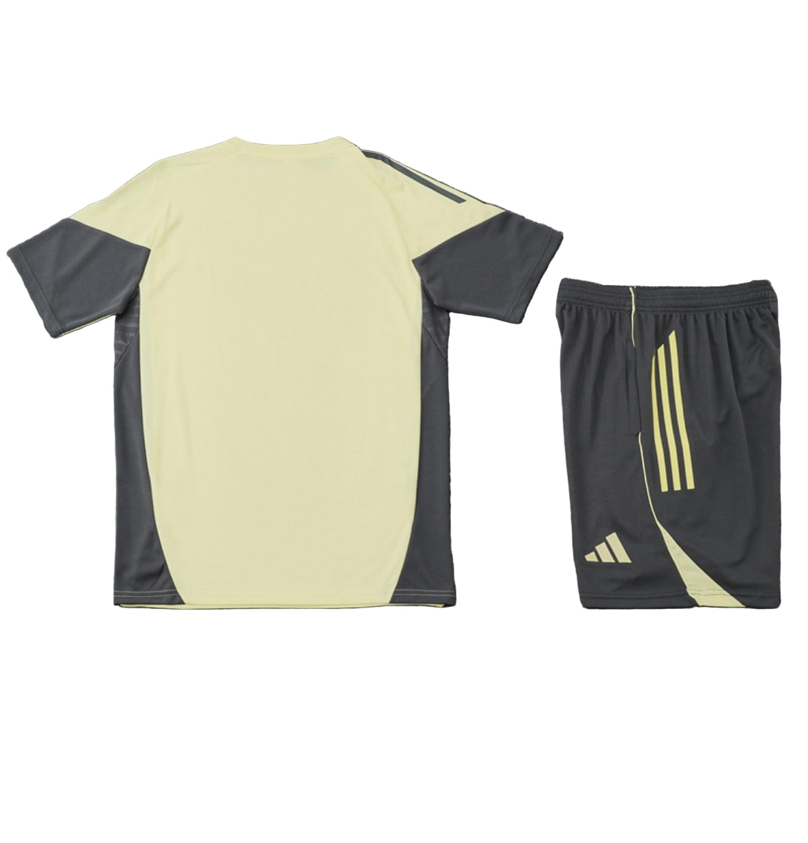 Real Madrid Training Set – Champion’s Gold Edition
